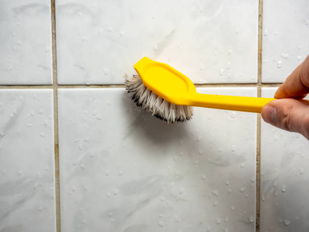 Best Black Mold Removal  in Lake Barrington, IL