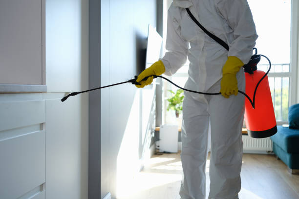 Best Attic Mold Removal  in Lake Barrington, IL