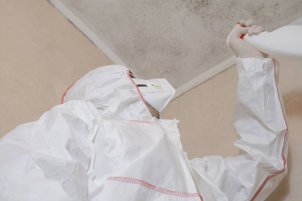 Best Mold Testing  in Lake Barrington, IL