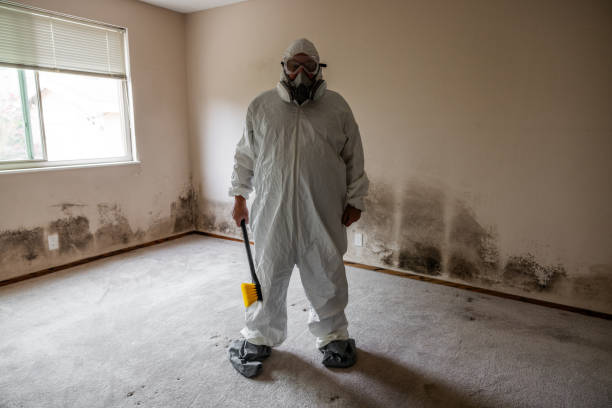 Best Crawl Space Mold Removal  in Lake Barrington, IL